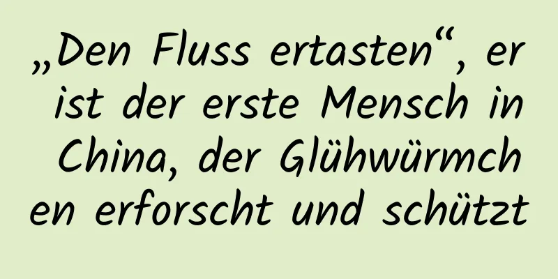 „Den Fluss ertasten“, er ist der erste Mensch in China, der Glühwürmchen erforscht und schützt