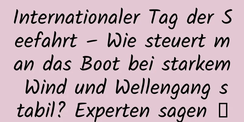 Internationaler Tag der Seefahrt – Wie steuert man das Boot bei starkem Wind und Wellengang stabil? Experten sagen →