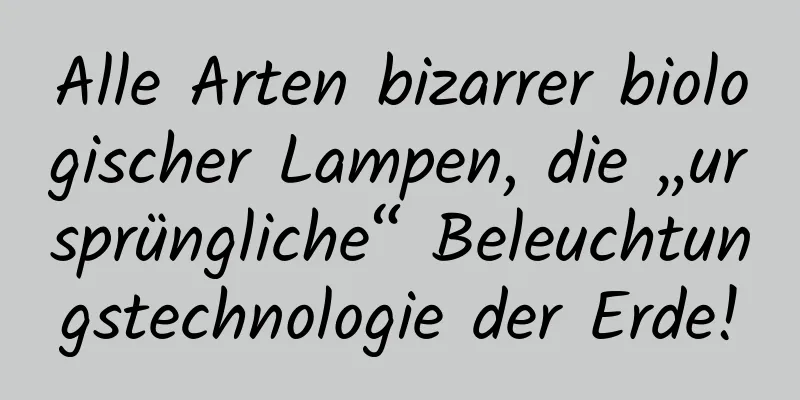 Alle Arten bizarrer biologischer Lampen, die „ursprüngliche“ Beleuchtungstechnologie der Erde!