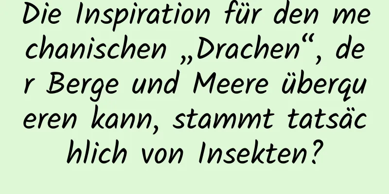 Die Inspiration für den mechanischen „Drachen“, der Berge und Meere überqueren kann, stammt tatsächlich von Insekten?