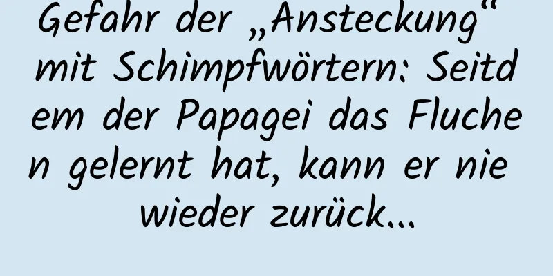Gefahr der „Ansteckung“ mit Schimpfwörtern: Seitdem der Papagei das Fluchen gelernt hat, kann er nie wieder zurück...