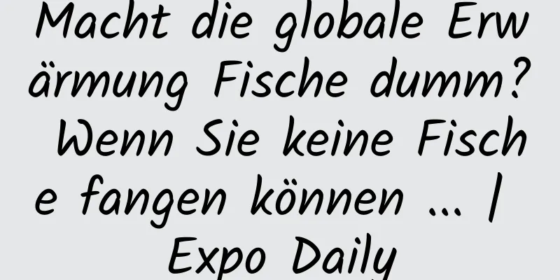 Macht die globale Erwärmung Fische dumm? Wenn Sie keine Fische fangen können ... | Expo Daily