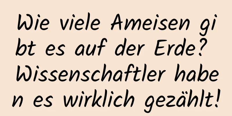 Wie viele Ameisen gibt es auf der Erde? Wissenschaftler haben es wirklich gezählt!