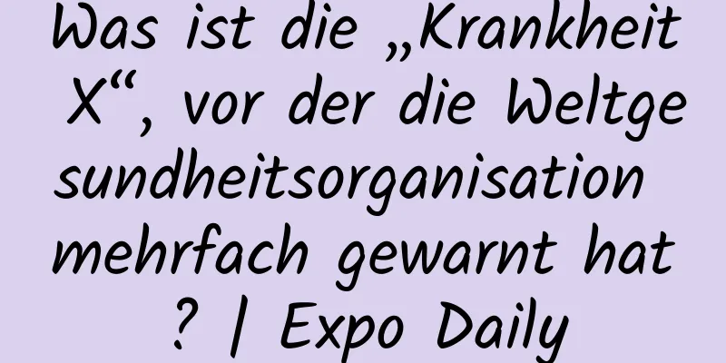 Was ist die „Krankheit X“, vor der die Weltgesundheitsorganisation mehrfach gewarnt hat? | Expo Daily