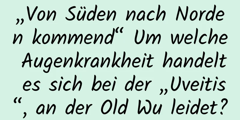 „Von Süden nach Norden kommend“ Um welche Augenkrankheit handelt es sich bei der „Uveitis“, an der Old Wu leidet?