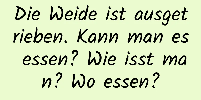 Die Weide ist ausgetrieben. Kann man es essen? Wie isst man? Wo essen?