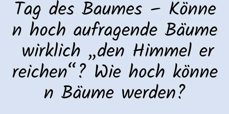 Tag des Baumes – Können hoch aufragende Bäume wirklich „den Himmel erreichen“? Wie hoch können Bäume werden?