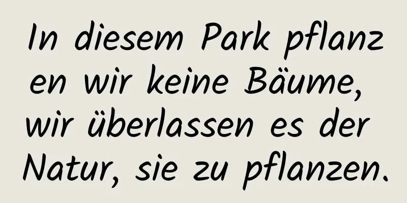 In diesem Park pflanzen wir keine Bäume, wir überlassen es der Natur, sie zu pflanzen.
