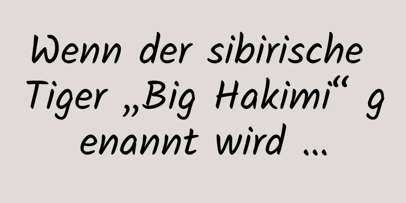 Wenn der sibirische Tiger „Big Hakimi“ genannt wird …