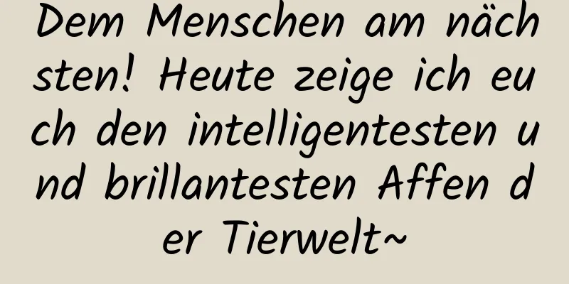 Dem Menschen am nächsten! Heute zeige ich euch den intelligentesten und brillantesten Affen der Tierwelt~