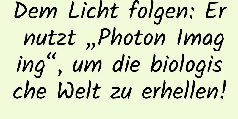 Dem Licht folgen: Er nutzt „Photon Imaging“, um die biologische Welt zu erhellen!
