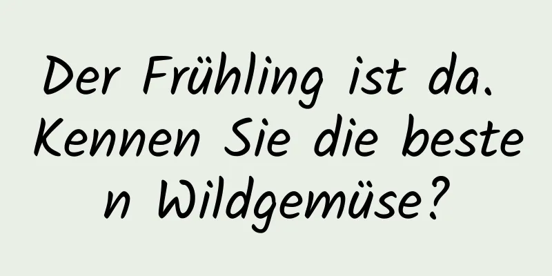Der Frühling ist da. Kennen Sie die besten Wildgemüse?