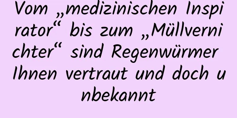 Vom „medizinischen Inspirator“ bis zum „Müllvernichter“ sind Regenwürmer Ihnen vertraut und doch unbekannt
