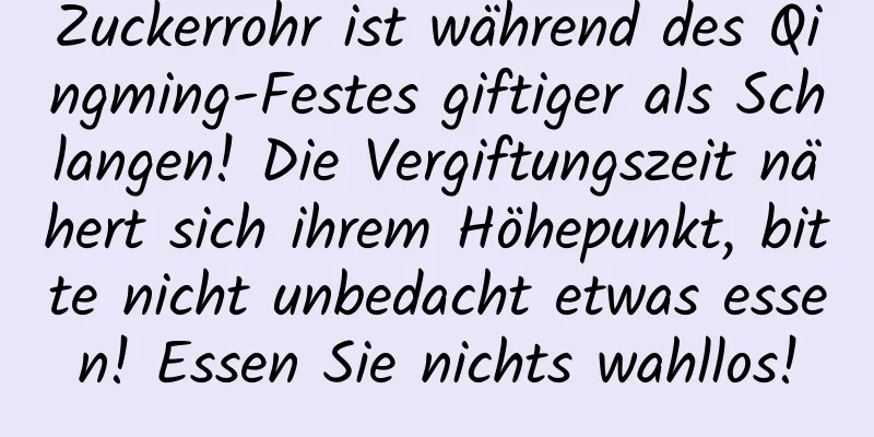 Zuckerrohr ist während des Qingming-Festes giftiger als Schlangen! Die Vergiftungszeit nähert sich ihrem Höhepunkt, bitte nicht unbedacht etwas essen! Essen Sie nichts wahllos!