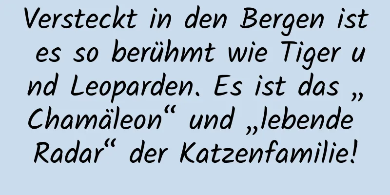 Versteckt in den Bergen ist es so berühmt wie Tiger und Leoparden. Es ist das „Chamäleon“ und „lebende Radar“ der Katzenfamilie!