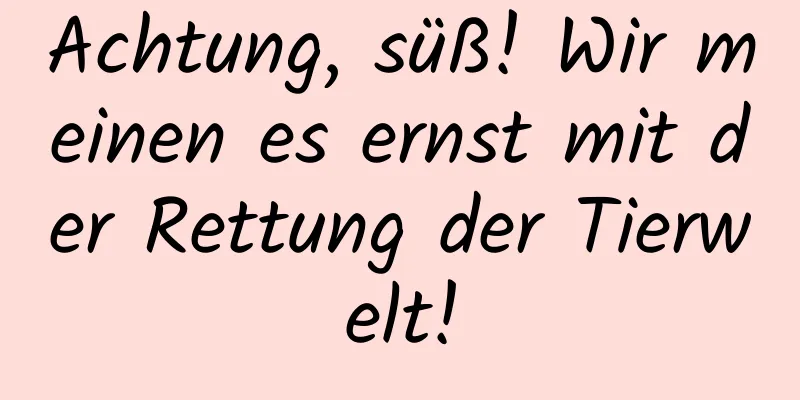 Achtung, süß! Wir meinen es ernst mit der Rettung der Tierwelt!