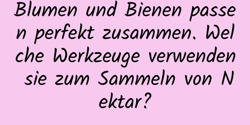Blumen und Bienen passen perfekt zusammen. Welche Werkzeuge verwenden sie zum Sammeln von Nektar?