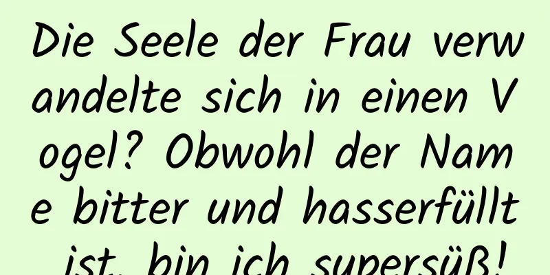Die Seele der Frau verwandelte sich in einen Vogel? Obwohl der Name bitter und hasserfüllt ist, bin ich supersüß!
