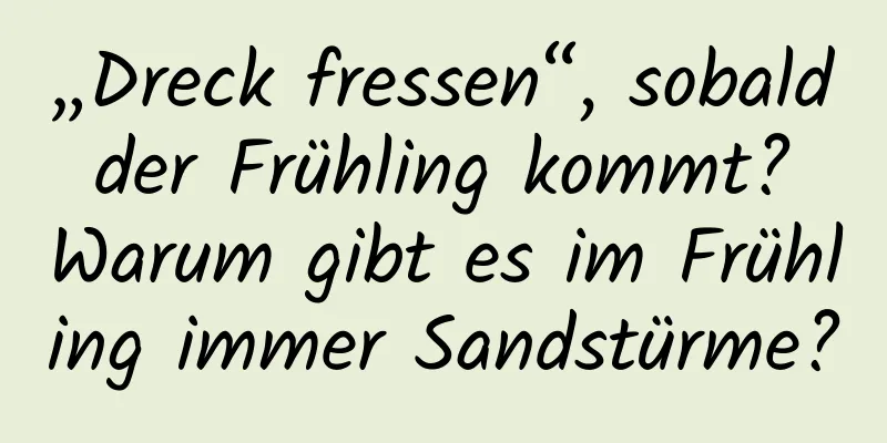 „Dreck fressen“, sobald der Frühling kommt? Warum gibt es im Frühling immer Sandstürme?