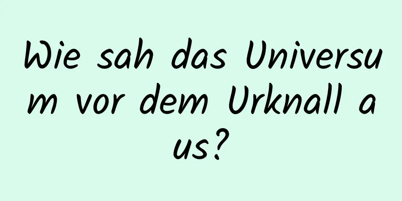Wie sah das Universum vor dem Urknall aus?