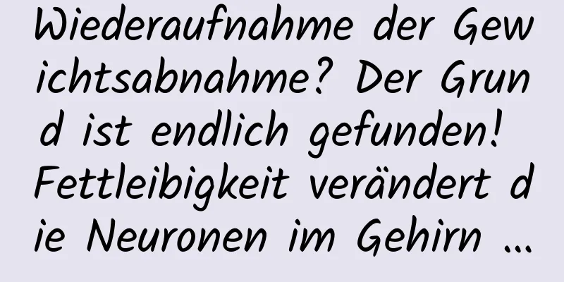 Wiederaufnahme der Gewichtsabnahme? Der Grund ist endlich gefunden! Fettleibigkeit verändert die Neuronen im Gehirn …