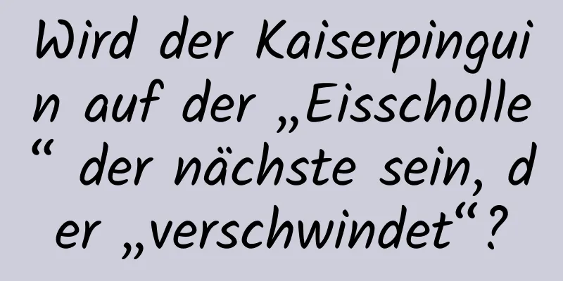 Wird der Kaiserpinguin auf der „Eisscholle“ der nächste sein, der „verschwindet“?