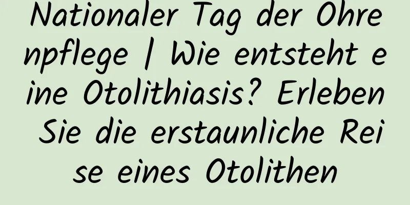 Nationaler Tag der Ohrenpflege | Wie entsteht eine Otolithiasis? Erleben Sie die erstaunliche Reise eines Otolithen