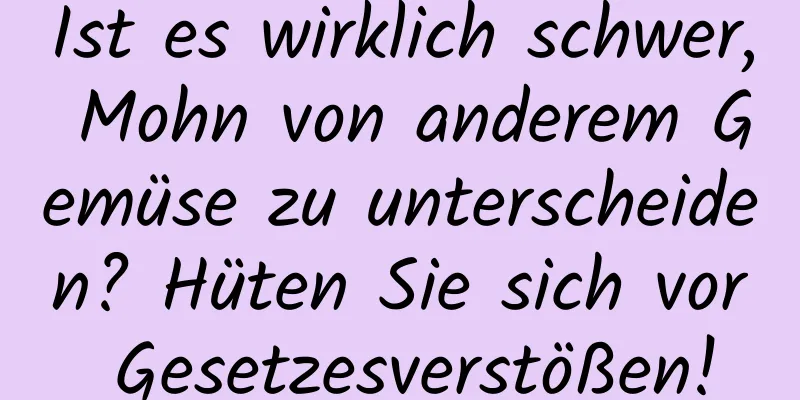 Ist es wirklich schwer, Mohn von anderem Gemüse zu unterscheiden? Hüten Sie sich vor Gesetzesverstößen!