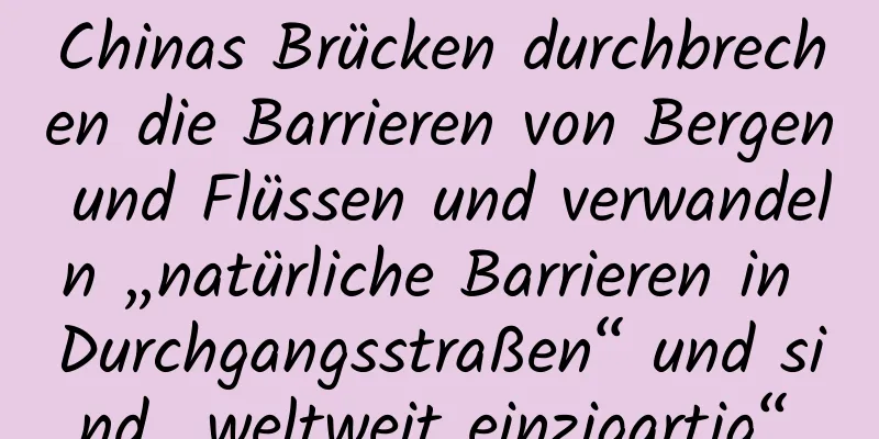 Chinas Brücken durchbrechen die Barrieren von Bergen und Flüssen und verwandeln „natürliche Barrieren in Durchgangsstraßen“ und sind „weltweit einzigartig“.