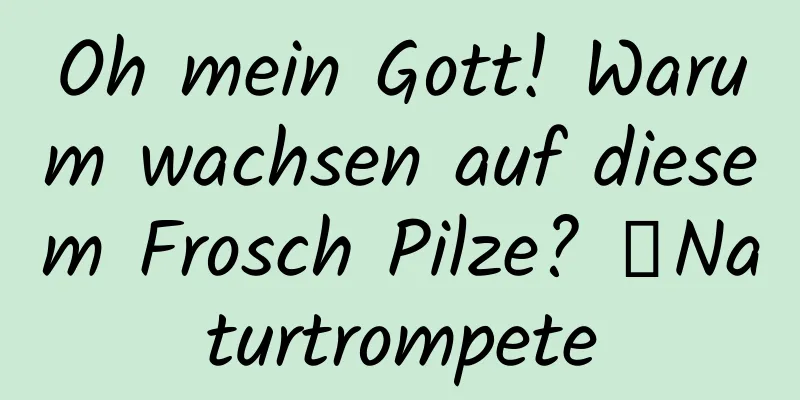 Oh mein Gott! Warum wachsen auf diesem Frosch Pilze? ｜Naturtrompete