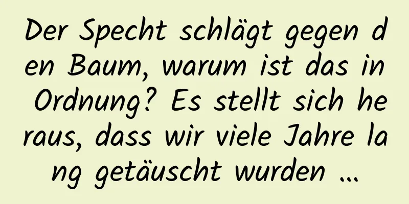 Der Specht schlägt gegen den Baum, warum ist das in Ordnung? Es stellt sich heraus, dass wir viele Jahre lang getäuscht wurden …