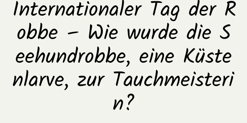 Internationaler Tag der Robbe – Wie wurde die Seehundrobbe, eine Küstenlarve, zur Tauchmeisterin?