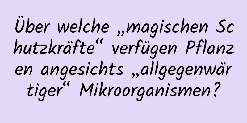 Über welche „magischen Schutzkräfte“ verfügen Pflanzen angesichts „allgegenwärtiger“ Mikroorganismen?