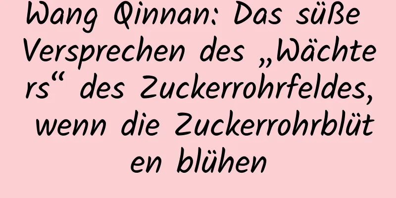 Wang Qinnan: Das süße Versprechen des „Wächters“ des Zuckerrohrfeldes, wenn die Zuckerrohrblüten blühen