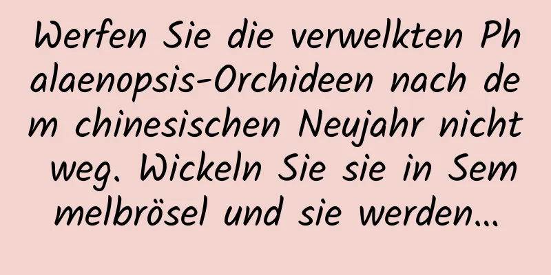 Werfen Sie die verwelkten Phalaenopsis-Orchideen nach dem chinesischen Neujahr nicht weg. Wickeln Sie sie in Semmelbrösel und sie werden…