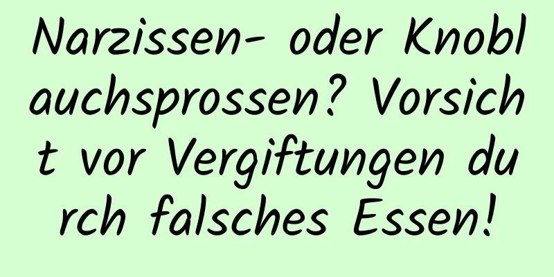 Narzissen- oder Knoblauchsprossen? Vorsicht vor Vergiftungen durch falsches Essen!