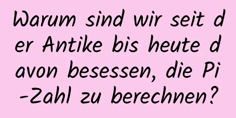 Warum sind wir seit der Antike bis heute davon besessen, die Pi-Zahl zu berechnen?
