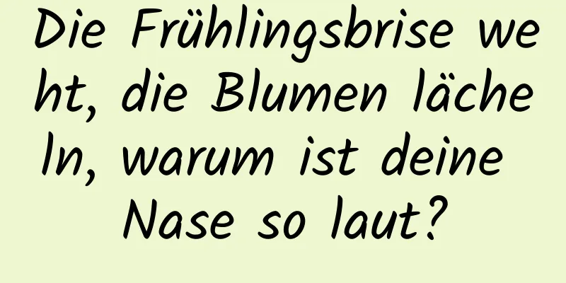 Die Frühlingsbrise weht, die Blumen lächeln, warum ist deine Nase so laut?