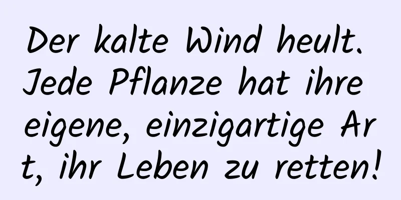 Der kalte Wind heult. Jede Pflanze hat ihre eigene, einzigartige Art, ihr Leben zu retten!
