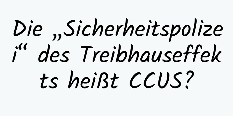 Die „Sicherheitspolizei“ des Treibhauseffekts heißt CCUS?