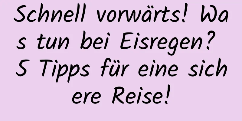 Schnell vorwärts! Was tun bei Eisregen? 5 Tipps für eine sichere Reise!