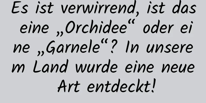 Es ist verwirrend, ist das eine „Orchidee“ oder eine „Garnele“? In unserem Land wurde eine neue Art entdeckt!