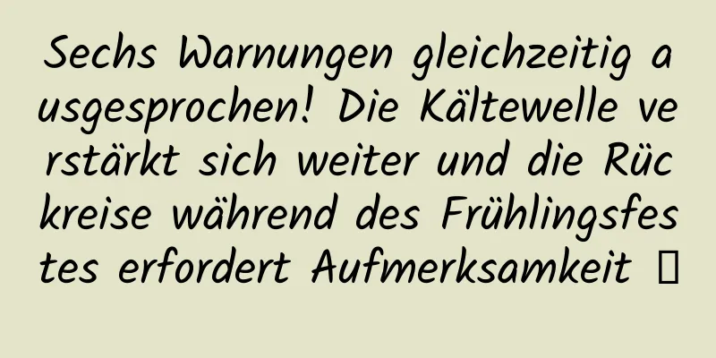 Sechs Warnungen gleichzeitig ausgesprochen! Die Kältewelle verstärkt sich weiter und die Rückreise während des Frühlingsfestes erfordert Aufmerksamkeit →