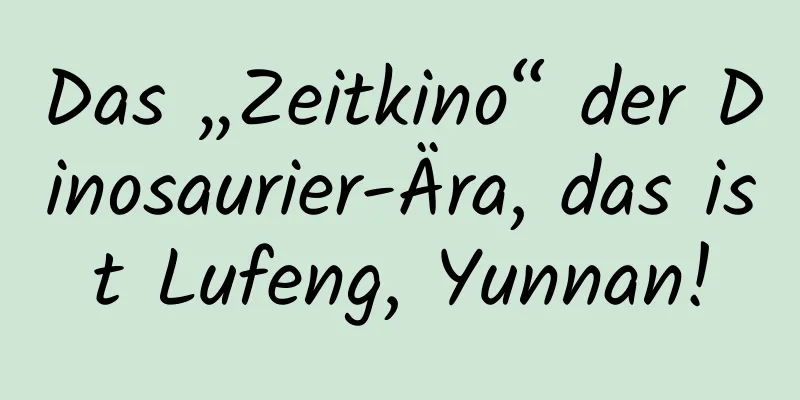 Das „Zeitkino“ der Dinosaurier-Ära, das ist Lufeng, Yunnan!