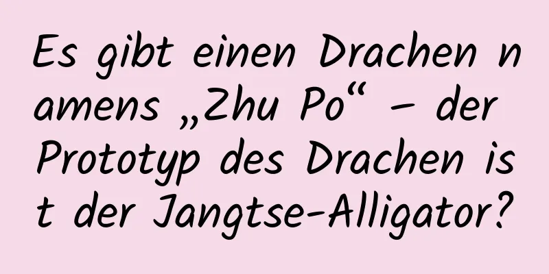 Es gibt einen Drachen namens „Zhu Po“ – der Prototyp des Drachen ist der Jangtse-Alligator?
