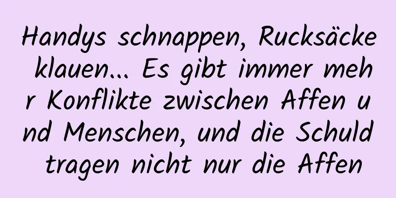 Handys schnappen, Rucksäcke klauen... Es gibt immer mehr Konflikte zwischen Affen und Menschen, und die Schuld tragen nicht nur die Affen