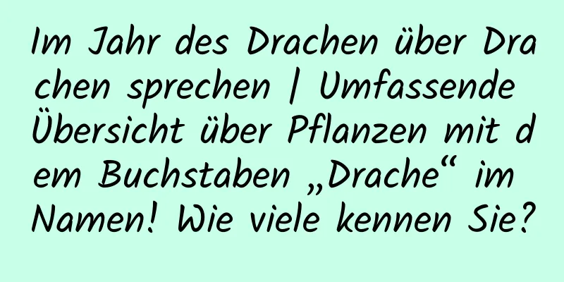 Im Jahr des Drachen über Drachen sprechen | Umfassende Übersicht über Pflanzen mit dem Buchstaben „Drache“ im Namen! Wie viele kennen Sie?