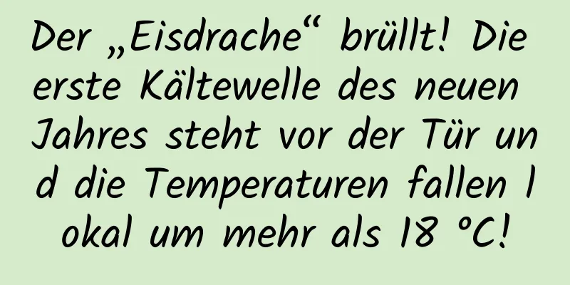 Der „Eisdrache“ brüllt! Die erste Kältewelle des neuen Jahres steht vor der Tür und die Temperaturen fallen lokal um mehr als 18 °C!