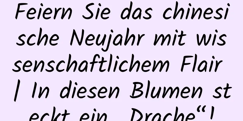 Feiern Sie das chinesische Neujahr mit wissenschaftlichem Flair | In diesen Blumen steckt ein „Drache“!