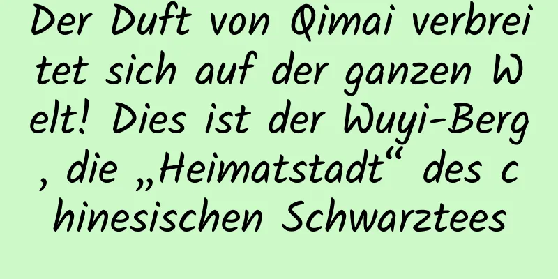 Der Duft von Qimai verbreitet sich auf der ganzen Welt! Dies ist der Wuyi-Berg, die „Heimatstadt“ des chinesischen Schwarztees